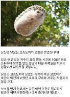 자라나라 머리머리!!! 다음 주제 >>590
