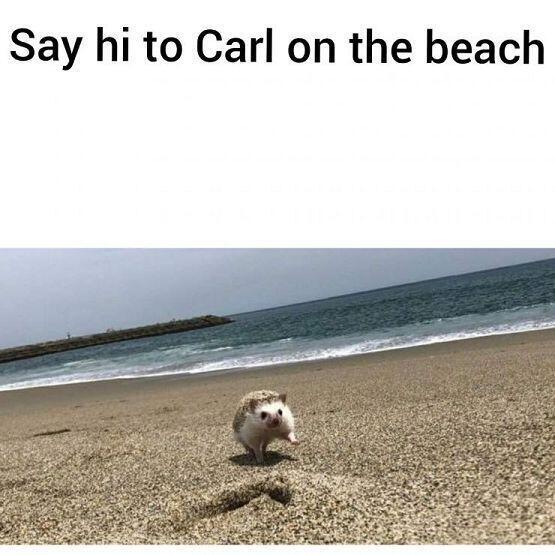 칼
