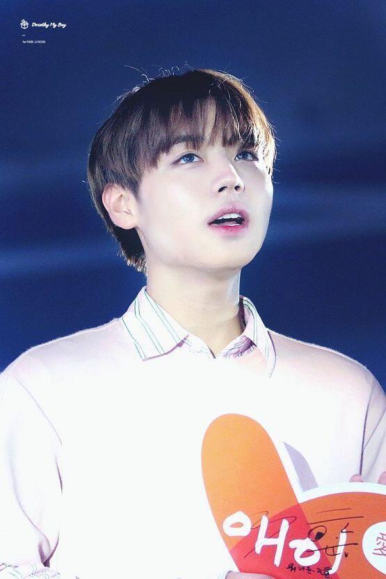 박지훈 미쳤지