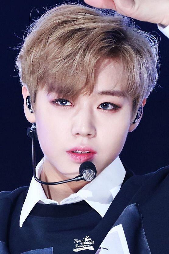 박지훈 미쳤지