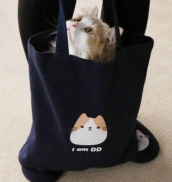 끼예에에에ㅔㅇ!!