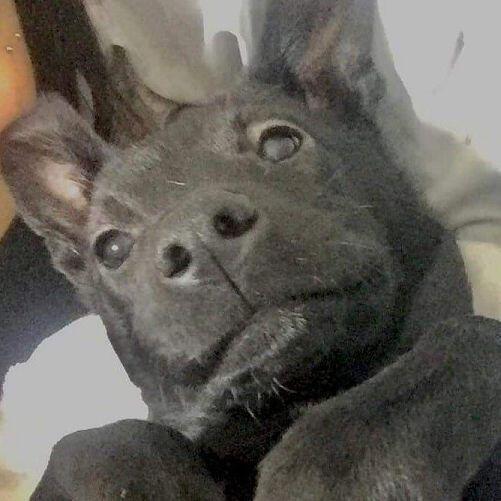 악..아악..! 주책떨어놨는데 막상 올리려니 부끄,,
