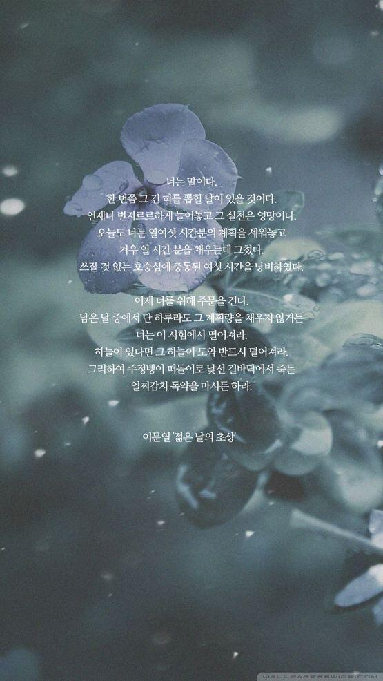 고3에 알맞은 사진. (스샷이 안올려져서 원본이얌)