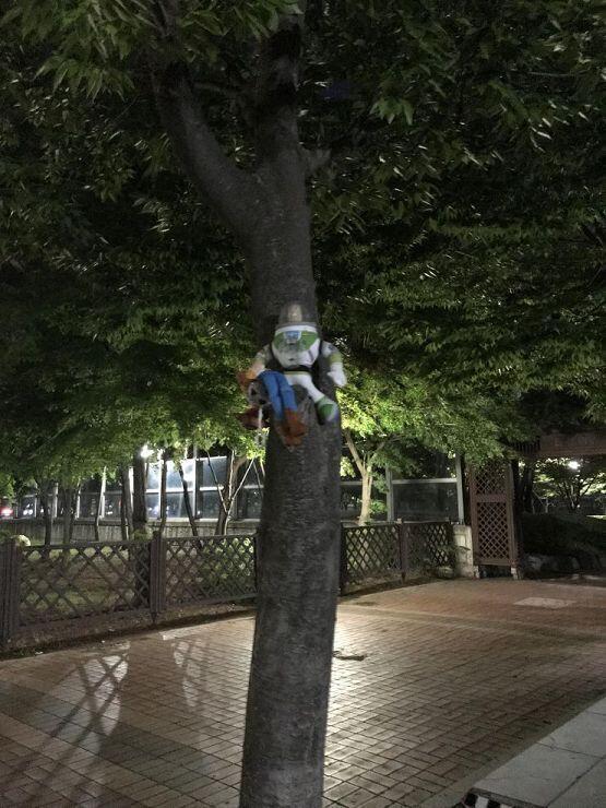 암튼 보내줬다 ㅃㅃ