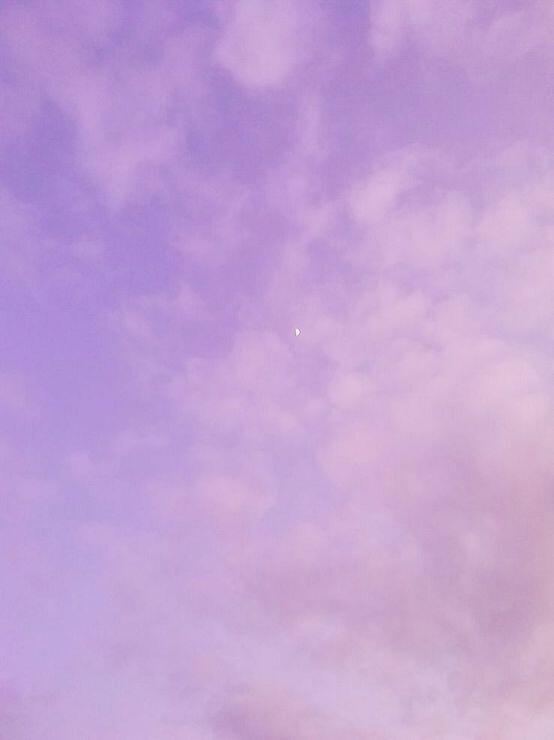 카메라 필터때문인가 하늘이 보라색이야