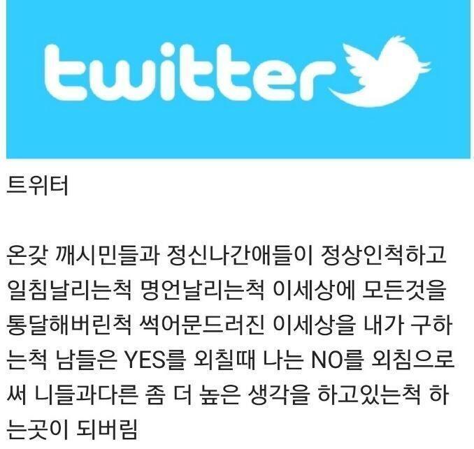 진짜 궁금한데 트위터만 하면 왜 다 빡대가리가 되는거지 구조상 세뇌되기 딱 좋아서그런가