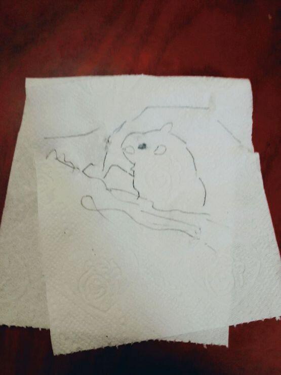 톱밥.... 작아서 그리기 힘들엌ㅋㅋ 종이가 없어서 휴지 위에 그려왔엉, 레알 발퀄 of 발퀄