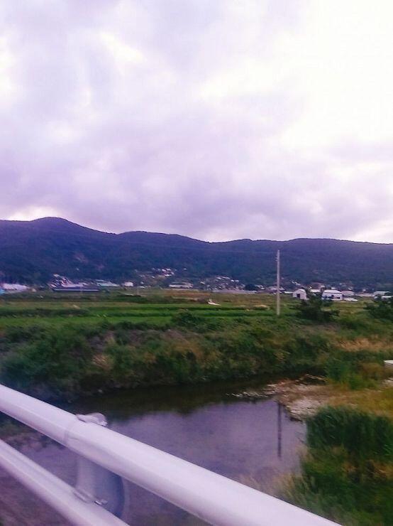 논이다 논