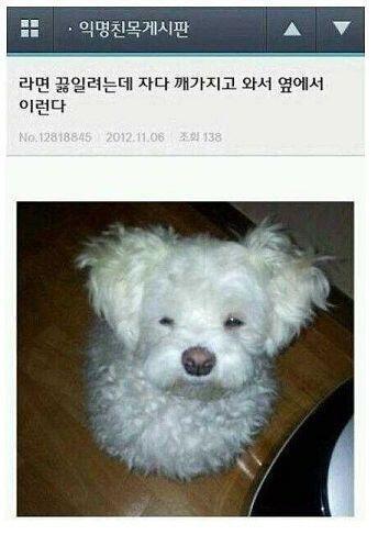 한입 줄라나?