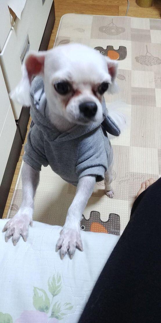 우리테오 한살때!!