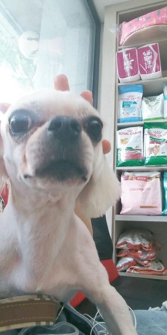 우리 테오는 가만히 있어도 모델 같다...!