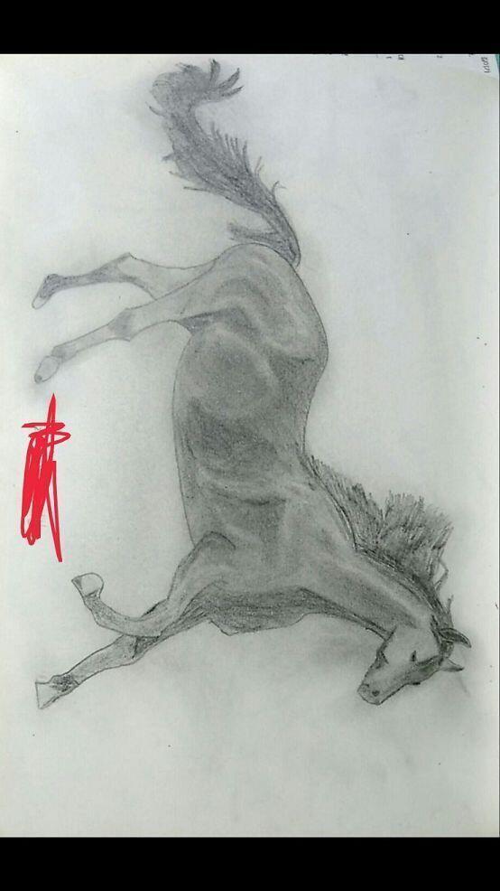 그린 순서대로얌