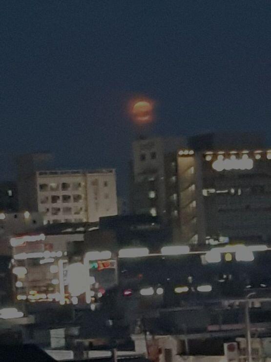 똥폰이라 화질은 안좋지만..