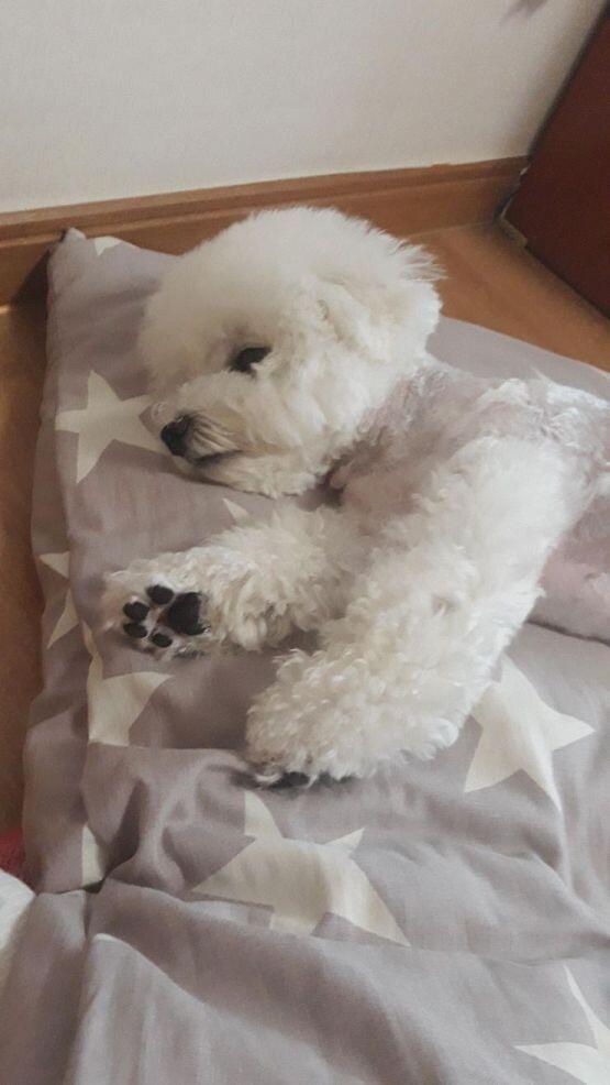 멈머