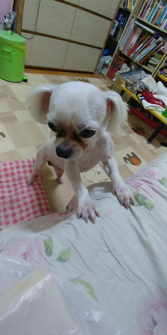 침대에 발 디딘 테오♥