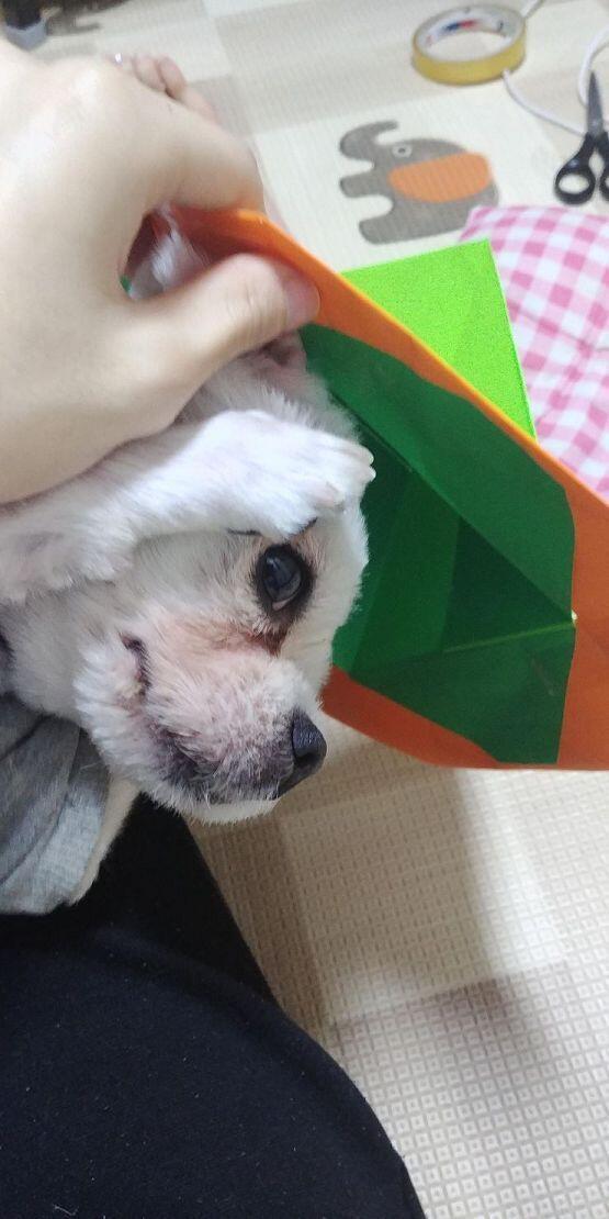 우리테오 ...! 웃을때마다 너무 이쁘고 너무 귀엽고 넘 섹시해!! 사랑해 테오야 ♥