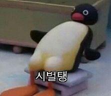 귀여운 팽귄도 키우자!