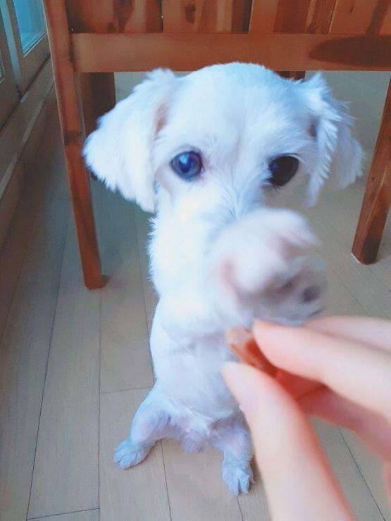 이것두 그려주량!