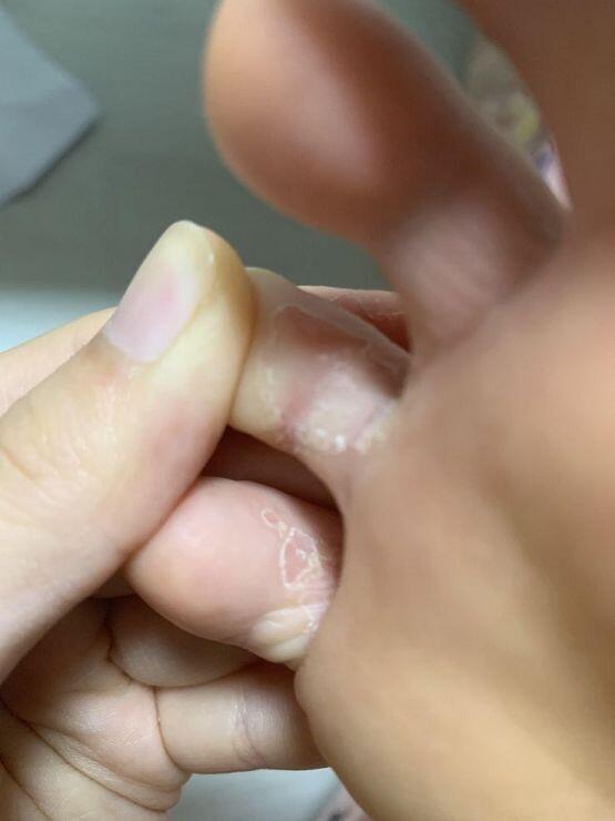 사진주의
