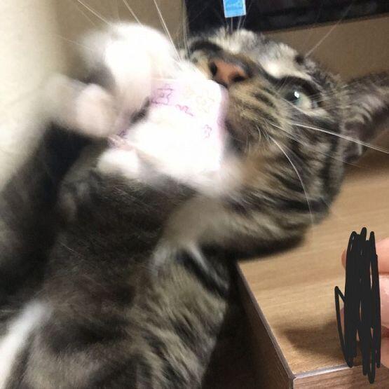 이것두우