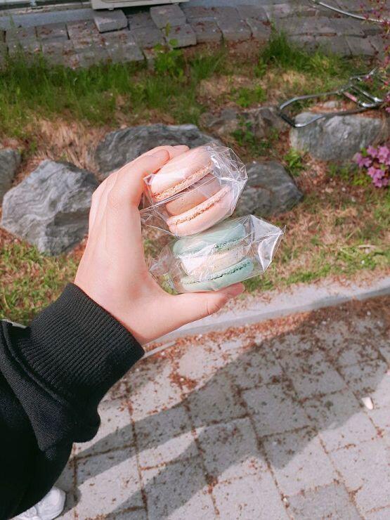 이것두 될까.. 마카롱 내 사랑인뎁..