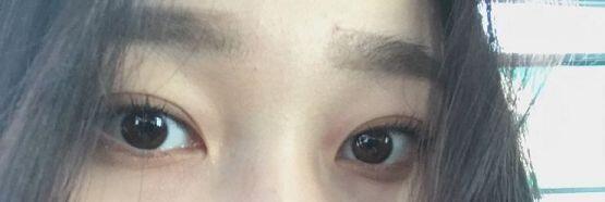 데일리!