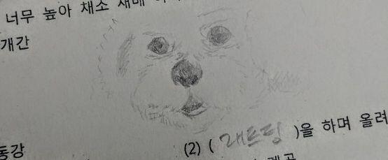 2019년 6월 5일자 낙서 스레주는 학생입니다! 글구 연필로 그린 거라 선명도 올림!