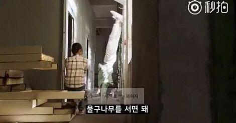 내 개그코드