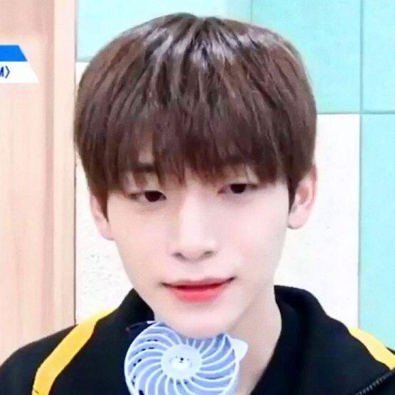 9정모 투표해 주세요 진짜 너무 귀여움 고양이야 ㅠㅠ