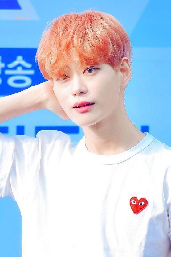 >>45처럼 확정은 아니지만 너의 투표가 간절한 '이세진' 연습생 영업하고 간다...