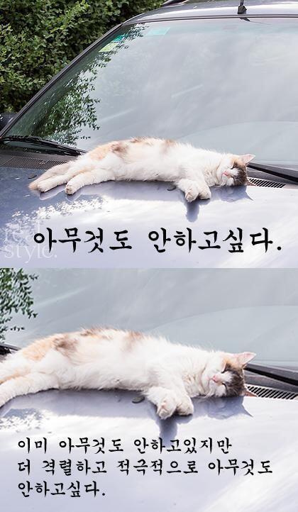 뀨