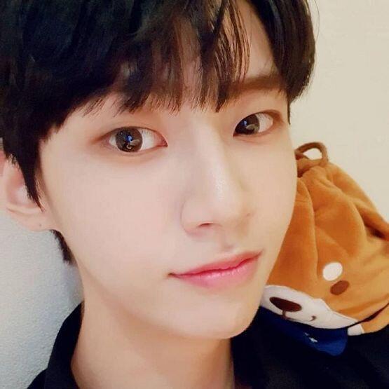 업텐션 이진혁 어때? 성격 바르고 술담배 안 하고 이번 프듀에서 조별과제 조장급으로 랩작사 안무 다 한 그분이야ㅠㅠ 파생그룹 데뷔는 아직 불투명