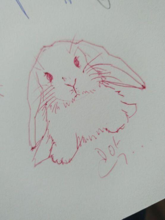 난 슬플때 토끼를 봐...🐰🐰