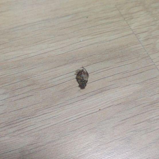 하.....죽였다 뭔가 이겼는데 진것같은 이 느낌은 뭐지..