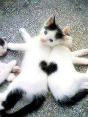 ♥