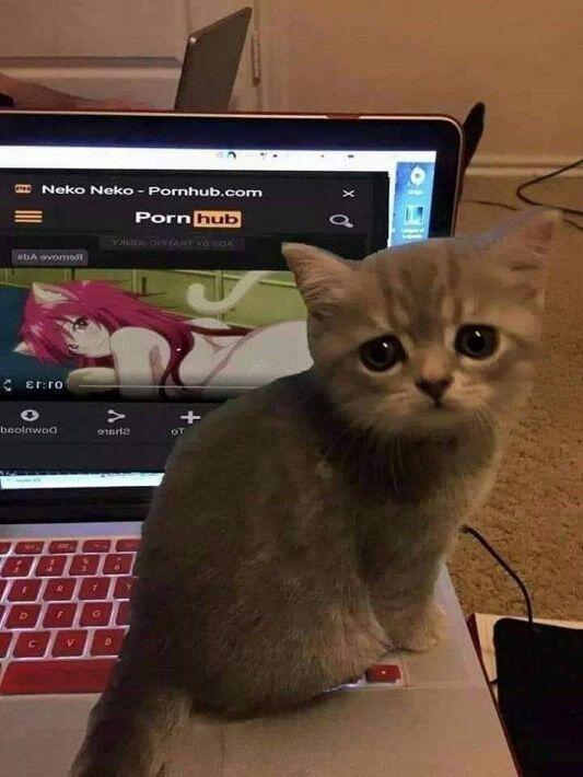 먀..