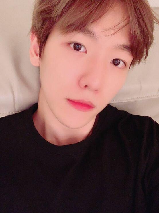 변백현 변백현변백현변뱍현 변백현 변백현이랑 결혼하게 해주세요