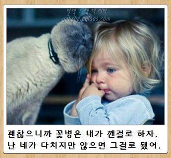보케테 볼래?