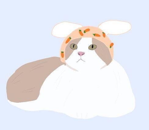 >>19 냥냔ㅁ냥냥