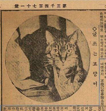 이건 올라가려나?