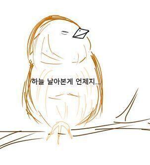 >>18 너무 뚱뚱해서ㅋㅋㅋㅋㅋㅋ