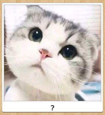 ?