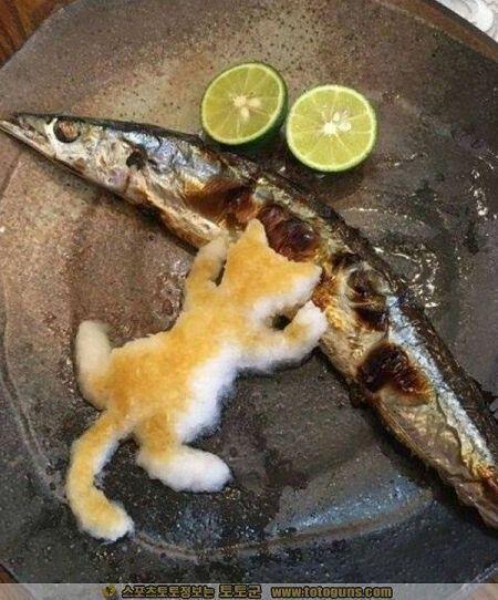 호잇