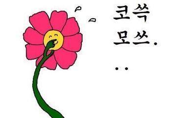 ㅎ;;