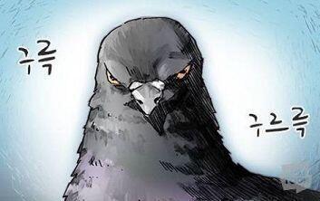어머나 세상에 우리 구구!!!!!여깄네!!!!!!