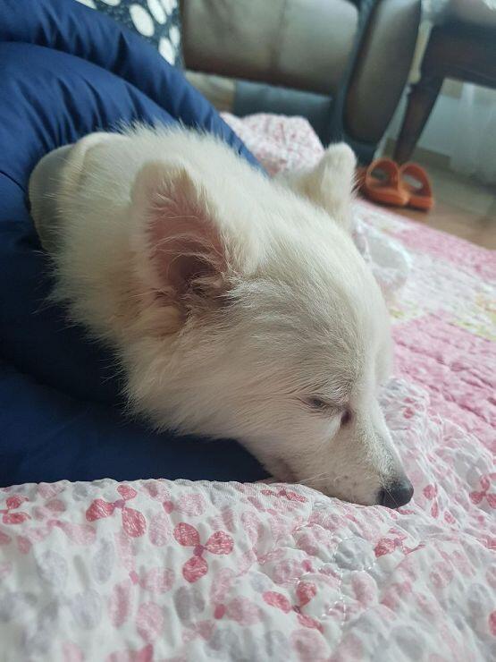 지금은 자는중!
