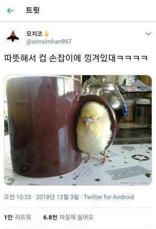 귀엽더라