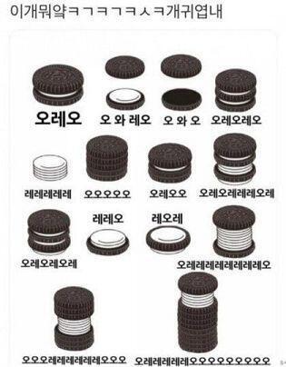 ㅋㅋㅋㅋㅋㄱㅋ
