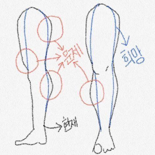 최대 콤플렉스 다리 설계도?