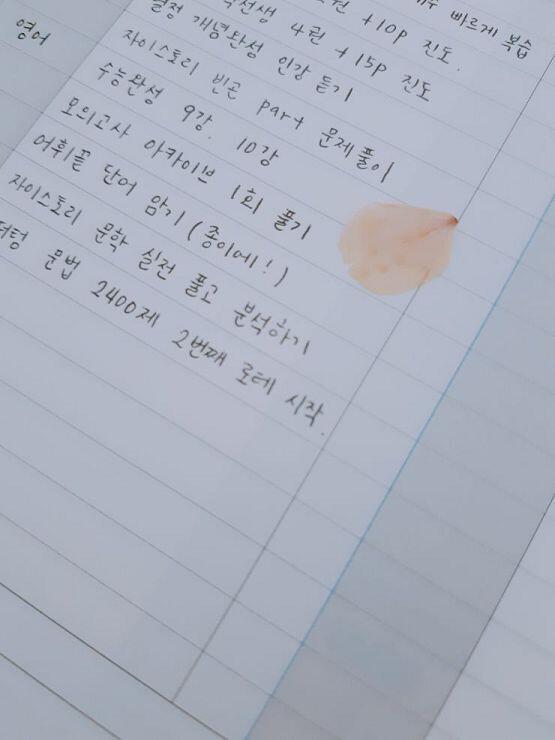이건 나 18살 되는 봄날에 학교 가다가 잡은 벚꽃잎이야...! 심지어 플래너에 붙여놨어ㅋㅋㅋ 벚꽃잎 속설 안 믿으려고 그랬는데 이제 약간, 아